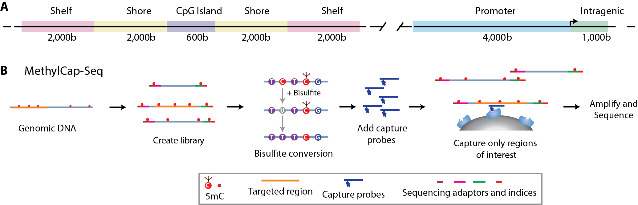 targeted genomic sequence analysis targeted genomic sequence analysis